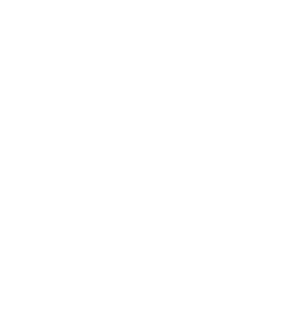 GTF Synergies